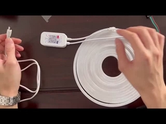 상등품 주도하는 네온 광은 나타납니다