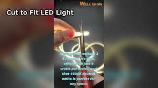 애니컷 COB 스트립 조명