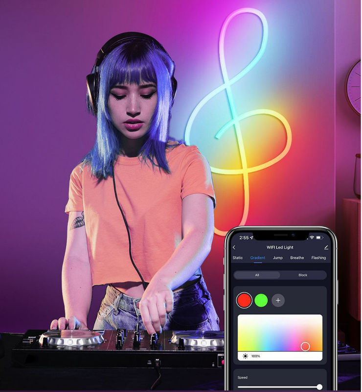 커넥터 어댑터와 110-120V 실리콘 네온사인 스트립 라이트 IP20 / IP65 / IP67 / IP68