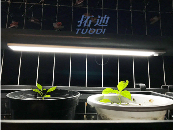 무선 USB 재충전이 가능한 탄력적 주도하는 작동 센서 내각은 반대 벽장 점등 광에서 빛을 발합니다